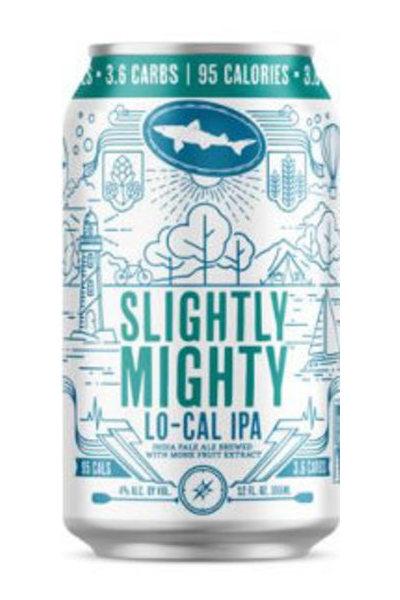 Dogfish Head Slightly Mighty